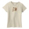 Ladies Organic Cotton T Shirt Thumbnail